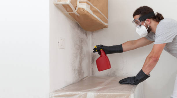 Professional Crawl Space Mold Remediation technician working in Spicewood, TX